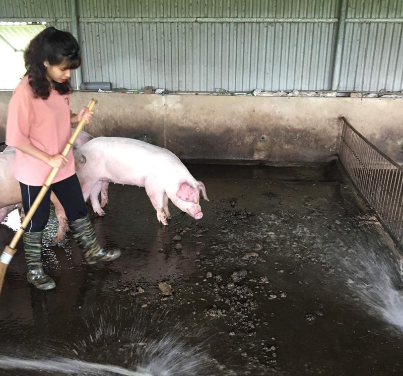 nu sinh "bo" thu do ve lang hoc chan nuoi va hanh trinh tro thanh thu khoa hinh 2