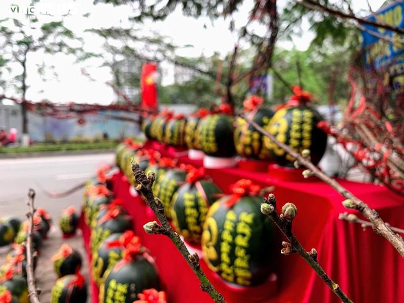 dua hau thu phap nhu vang doc dao gia nua trieu dong hinh 10
