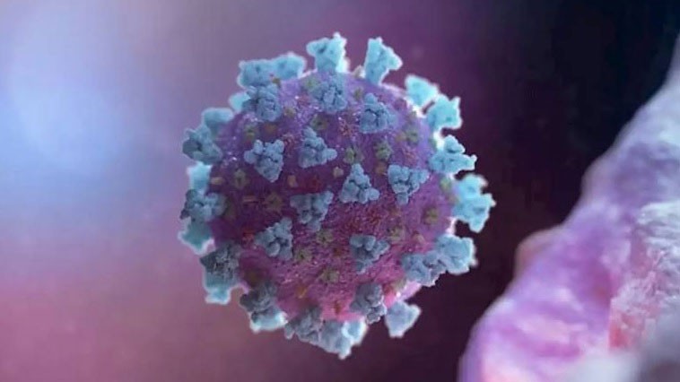 2 truong hop nhiem virus sars-cov-2 dau tien o oman tung den iran hinh 1