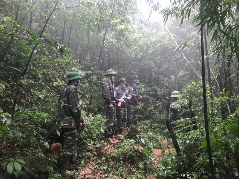 sua co gai ha lan chung tay cung chien si bien phong day lui covid-19 hinh 2