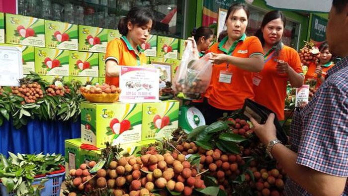 dac san cua 15 tinh, thanh ra mat nguoi tieu dung ha noi hinh 1