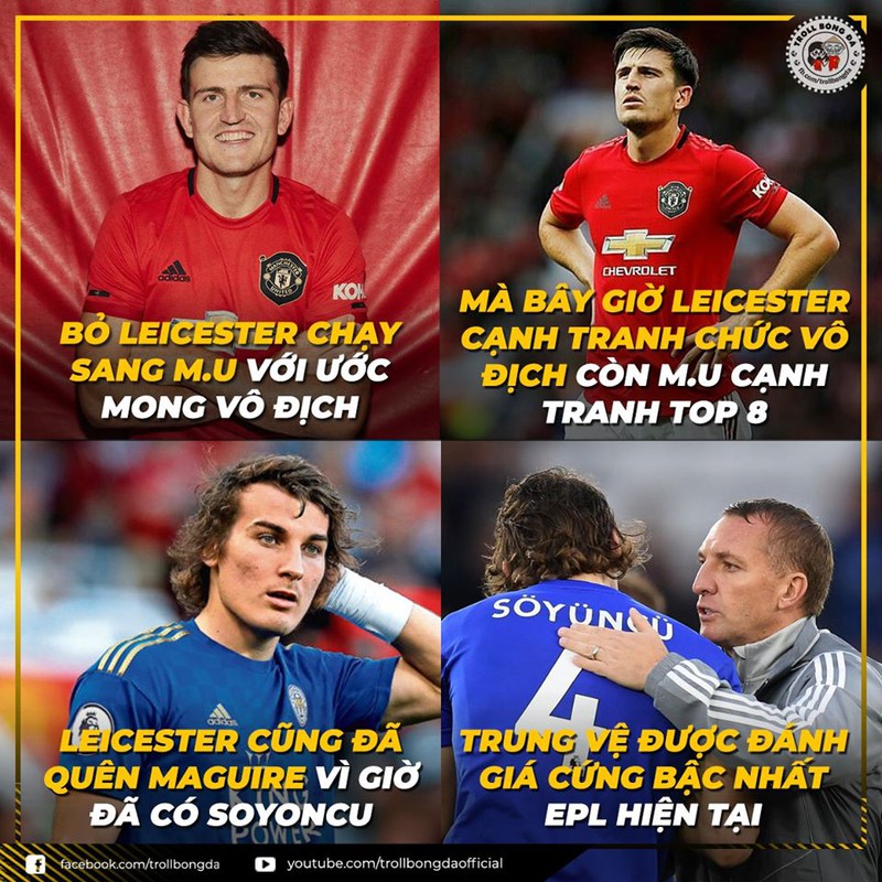 biem hoa 24h: cu dan mang "gan ghep" zlatan ibrahimovic voi doi tphcm hinh 7