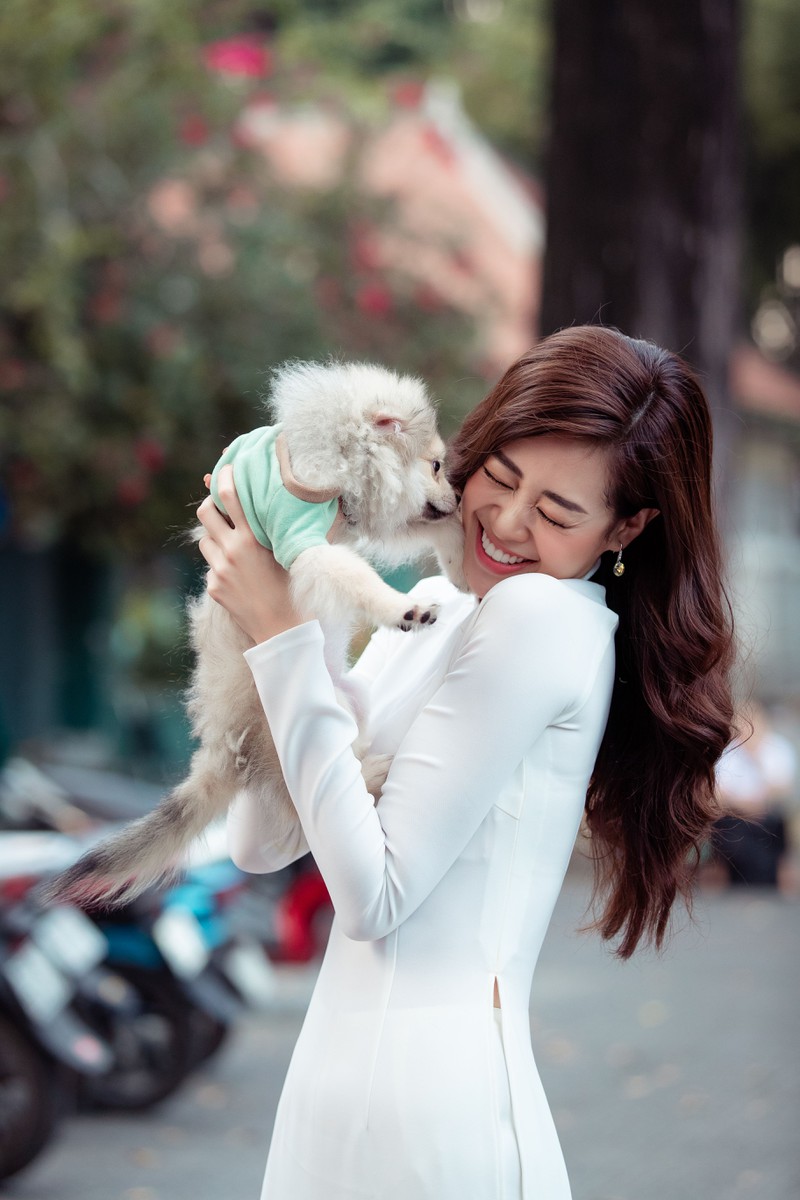 hoa hau khanh van cung bo dao pho sai gon ngay can tet hinh 9