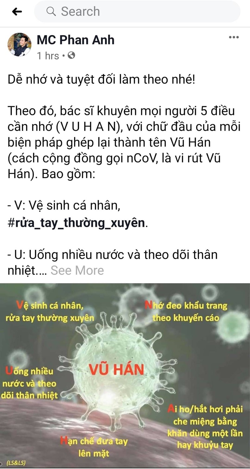 hoa hau, nghe si viet chia se cach phong chong dich virus corona hinh 9