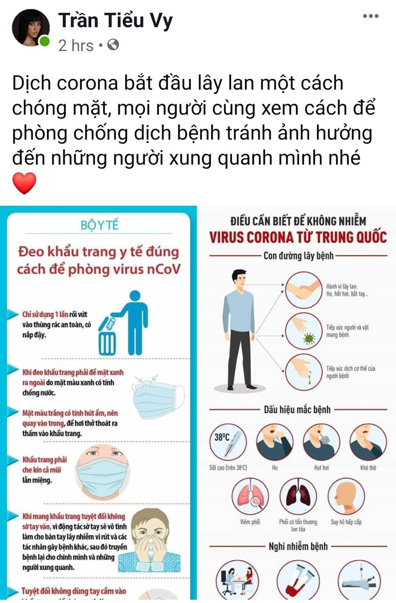 hoa hau, nghe si viet chia se cach phong chong dich virus corona hinh 4