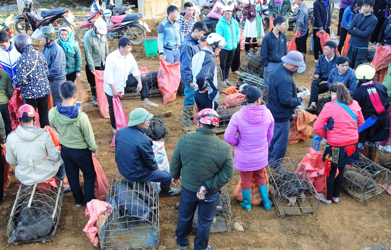 quyen ru cho phien san thang o lai chau hinh 2