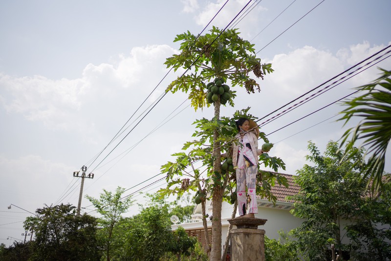 hoa hau h’hen nie huong ung chien dich #stayhome tai que nha hinh 3