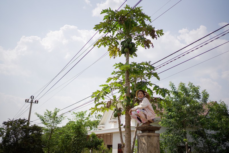 hoa hau h’hen nie huong ung chien dich #stayhome tai que nha hinh 4