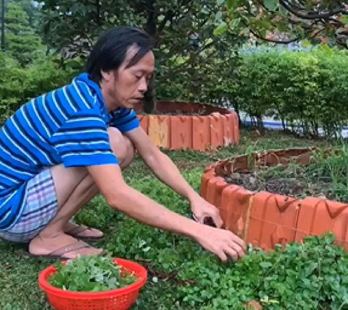 em trai tiet lo hoai linh di lam nong trong mua dich covid-19 hinh 1