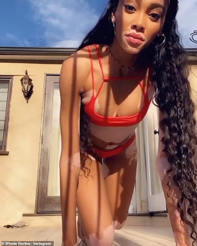 sieu mau bach bien winnie harlow catwalk voi bikini do ruc hinh 4