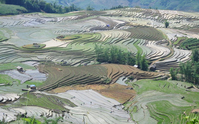 dai yem nuoc giua lung troi tay bac hinh 5