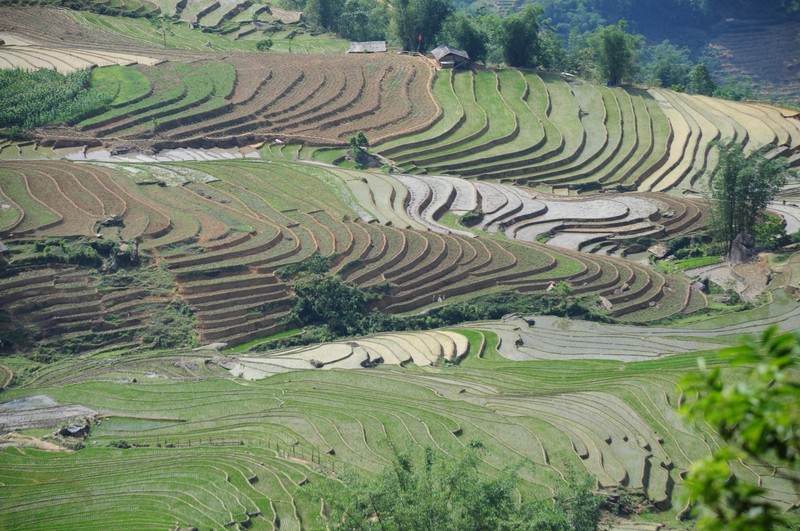 dai yem nuoc giua lung troi tay bac hinh 6