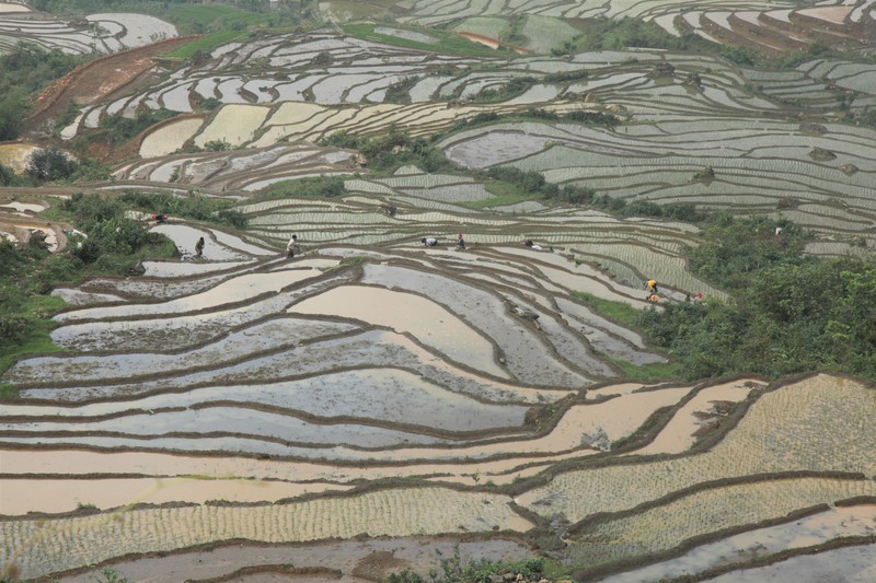 dai yem nuoc giua lung troi tay bac hinh 10