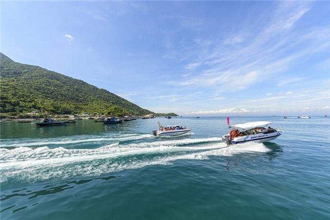 tham quan cu lao cham, dao bien ngam san ho trong mot ngay hinh 2