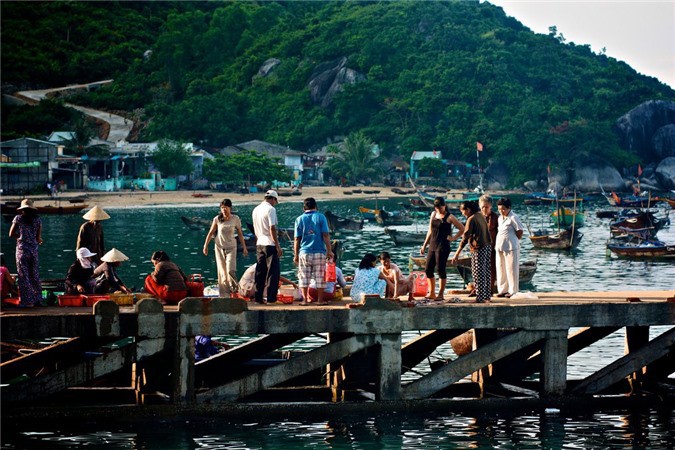 tham quan cu lao cham, dao bien ngam san ho trong mot ngay hinh 3