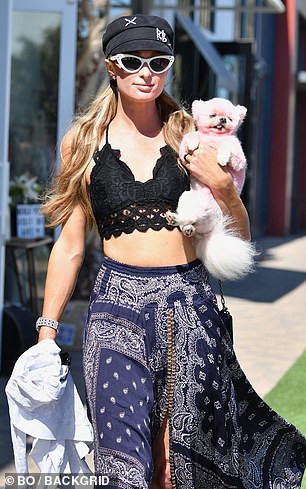 "co dao" paris hilton mac bra nong bong, om thu cung ra pho o malibu hinh 2