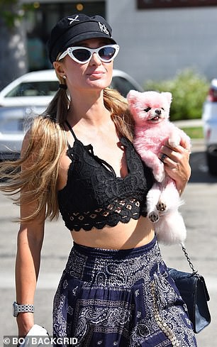 "co dao" paris hilton mac bra nong bong, om thu cung ra pho o malibu hinh 3