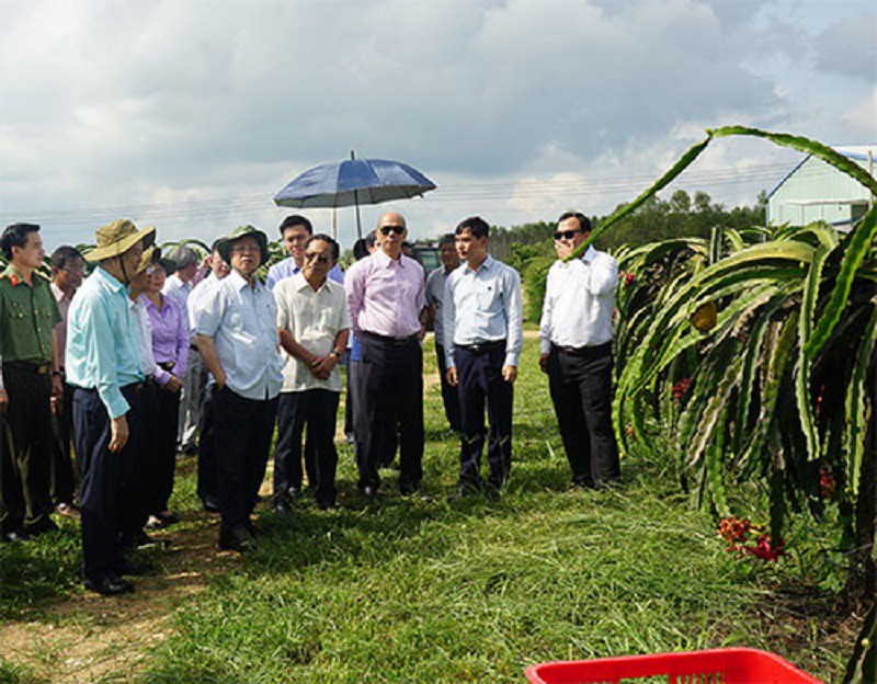 thuong truc ban bi thu tran quoc vuong tham va lam viec tai binh thuan hinh 2