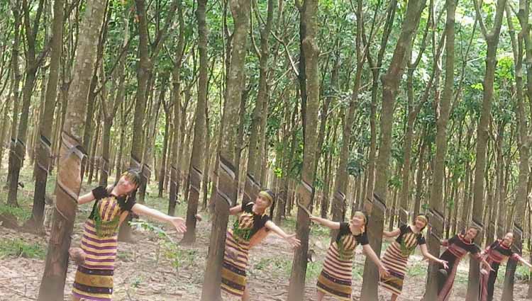 lien hoan giai dieu son ca: uom mam nhung nghe si tuong lai hinh 2