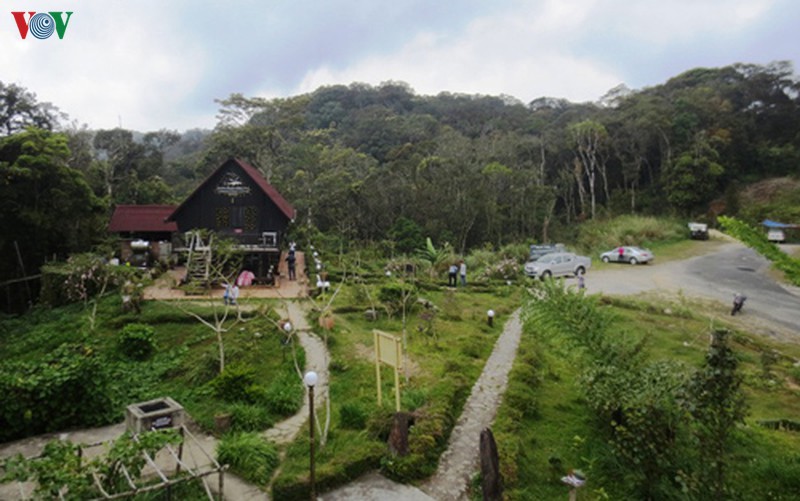 de nghi dieu chinh quy hoach phan khu de phat trien du lich tai hon ba hinh 1