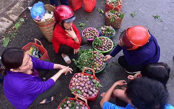 man tam hoa bac ha chin mong gion ngot tu vuon xuong pho hinh 11