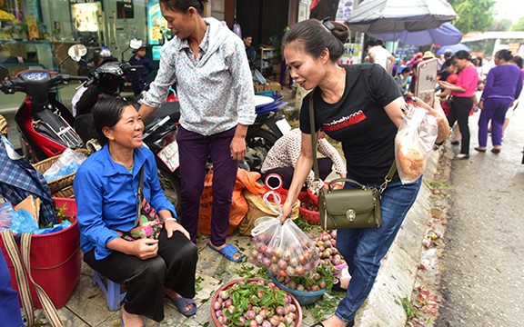 man tam hoa bac ha chin mong gion ngot tu vuon xuong pho hinh 12