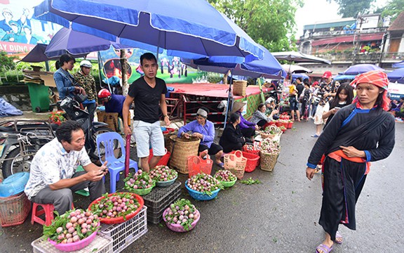 man tam hoa bac ha chin mong gion ngot tu vuon xuong pho hinh 6