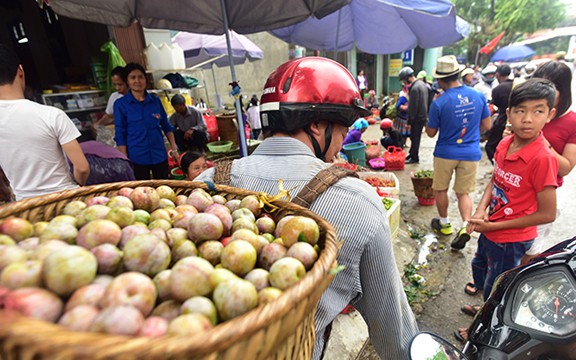 man tam hoa bac ha chin mong gion ngot tu vuon xuong pho hinh 7