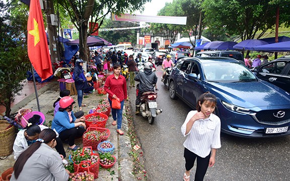 man tam hoa bac ha chin mong gion ngot tu vuon xuong pho hinh 8