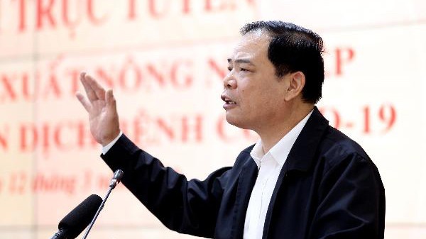 bo truong nguyen xuan cuong: phai dua gia lon ve duoi 70.000 dong/kg hinh 1