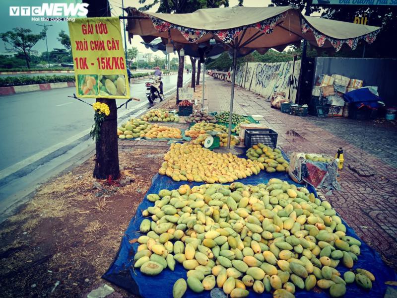 khong tieu thu duoc vi covid-19, xoai "do bo" tp.hcm cho... giai cuu hinh 1
