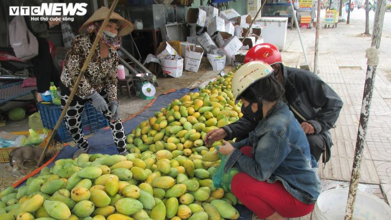 khong tieu thu duoc vi covid-19, xoai "do bo" tp.hcm cho... giai cuu hinh 3