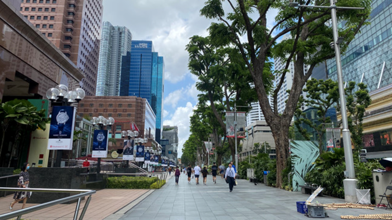 doanh nghiep ho tro cong dan viet nam va y bac si tai singapore hinh 1
