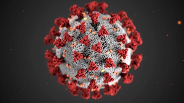 who muon my cung cap chung cu ve nguon goc virus sars cov-2 hinh 1