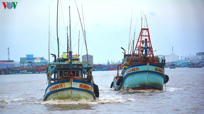 go kho cho khai thac, che bien va tieu thu hai san hinh 1