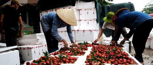 ​giao thuong truc tuyen nong san, thuc pham viet nam - trung quoc hinh 1