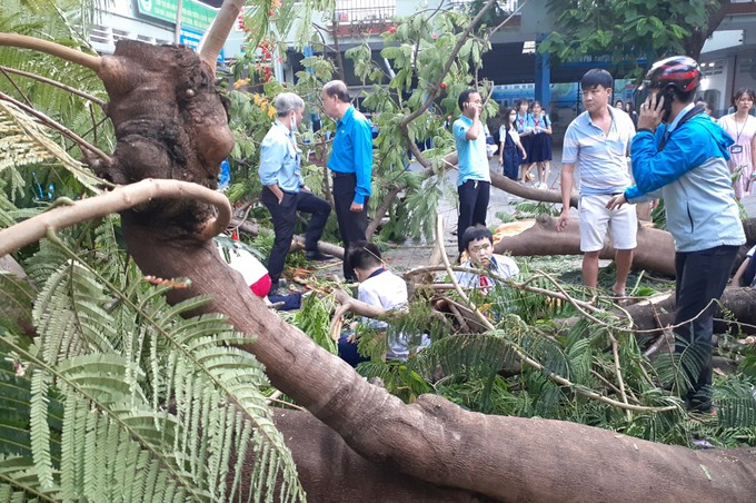 hieu truong: "cay do trong truong la trach nhiem cua toi" hinh 2