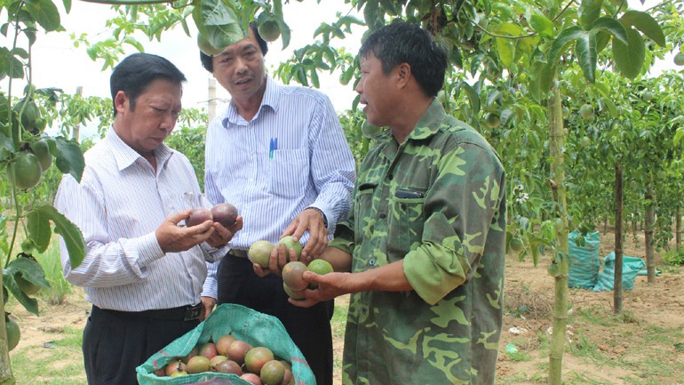 Mô hình nông nghiệp tuần hoàn và kết hợp du lịch sinh thái trải nghiệm nông  nghiệp bền vững  Tuổi Trẻ Online