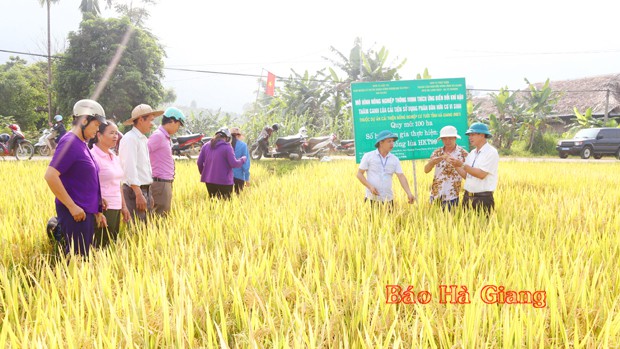 mo hinh nong nghiep thong minh tang chat luong san pham hinh 1