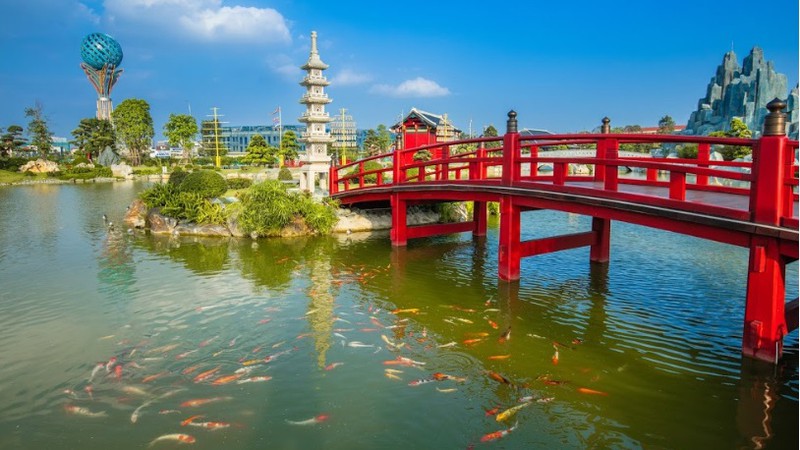 vi sao nha cang gan truong cang co gia? hinh 5