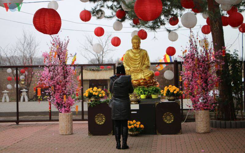 truc tiep: cung vov don giao thua va nam moi canh ty 2020 hinh 134