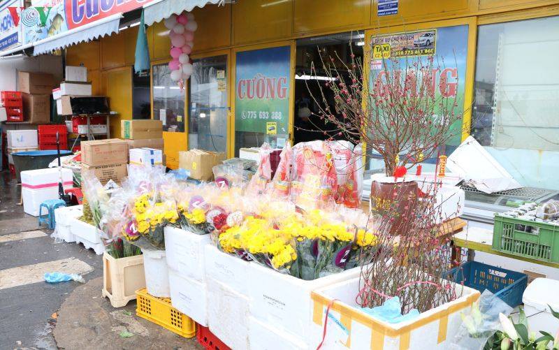 truc tiep: cung vov don giao thua va nam moi canh ty 2020 hinh 137