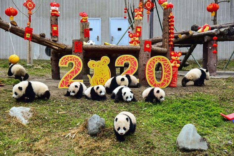 truc tiep: cung vov don giao thua va nam moi canh ty 2020 hinh 143