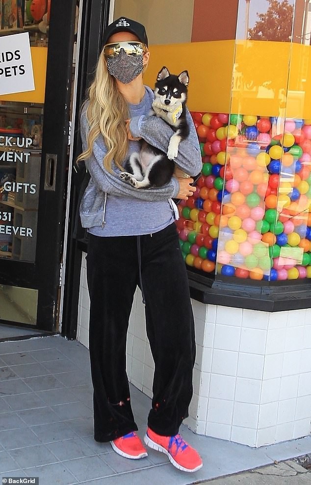 "co dao" paris hilton gian di be thu cung di dao pho hinh 1