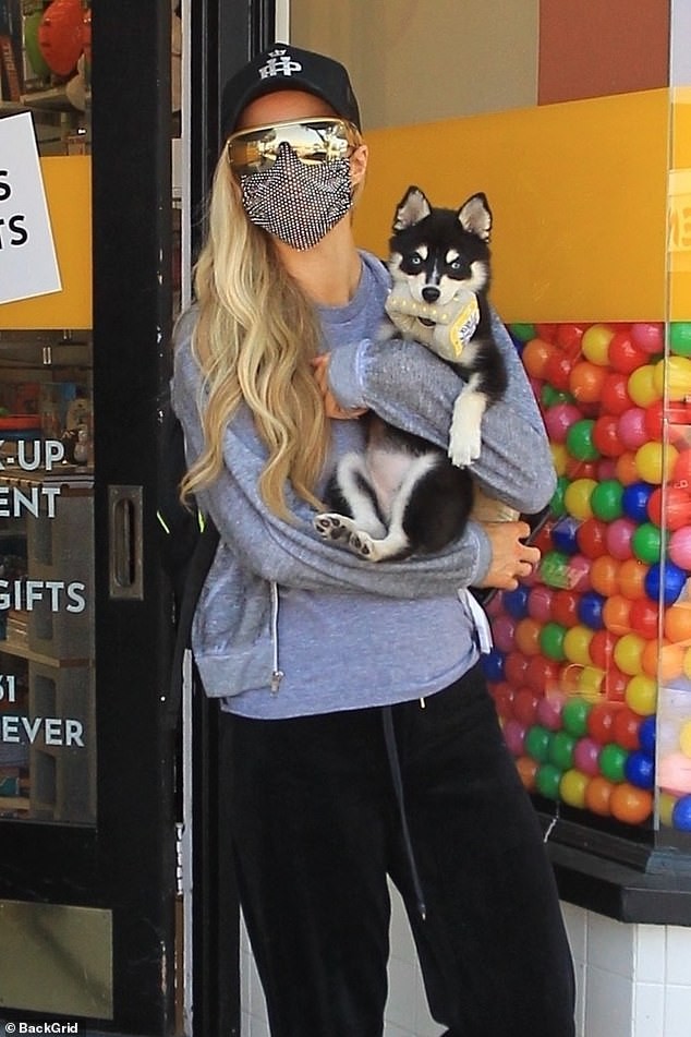 "co dao" paris hilton gian di be thu cung di dao pho hinh 2