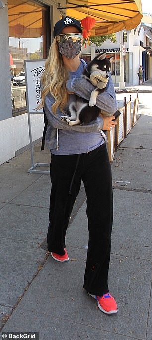 "co dao" paris hilton gian di be thu cung di dao pho hinh 3
