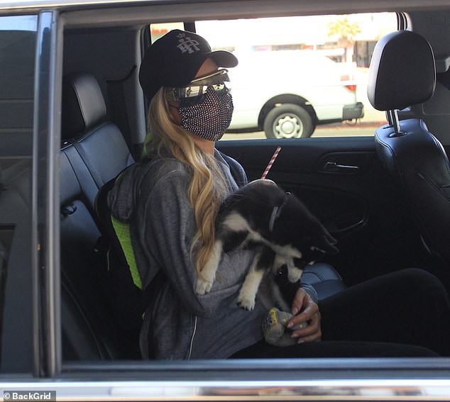 "co dao" paris hilton gian di be thu cung di dao pho hinh 6