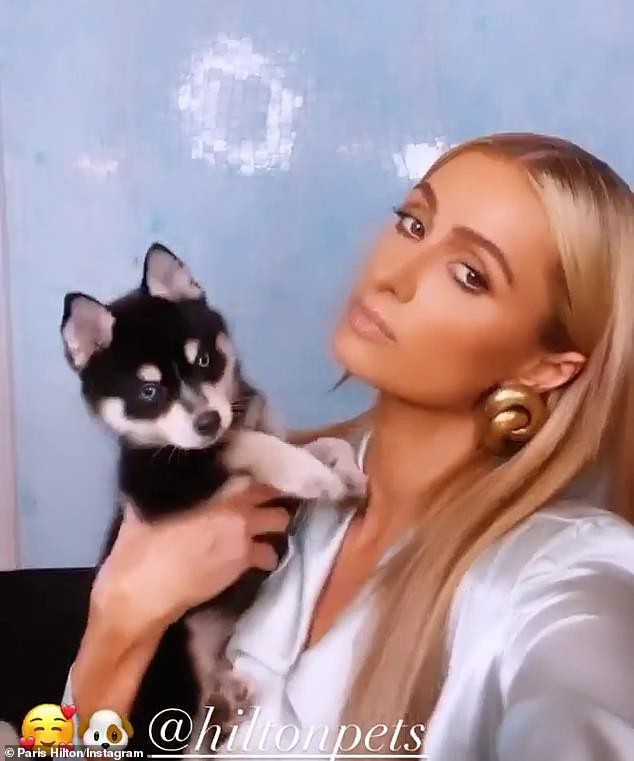 "co dao" paris hilton gian di be thu cung di dao pho hinh 7