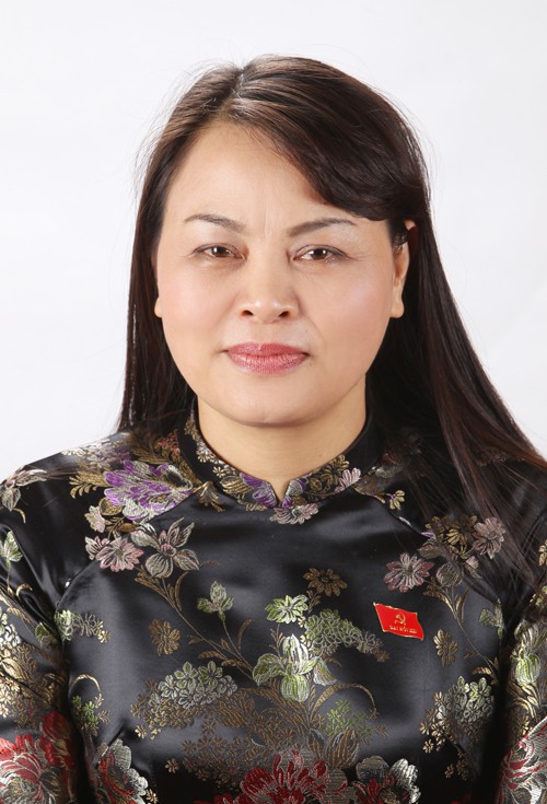 8 nu la bi thu tinh uy trong ca nuoc gom nhung ai? hinh 6