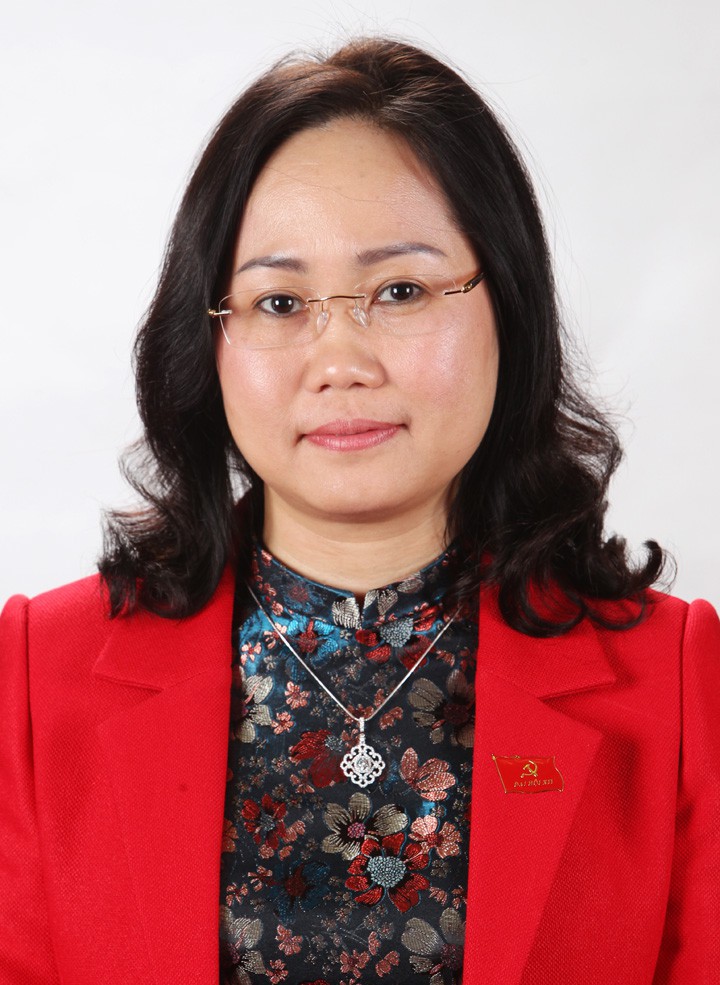 8 nu la bi thu tinh uy trong ca nuoc gom nhung ai? hinh 8